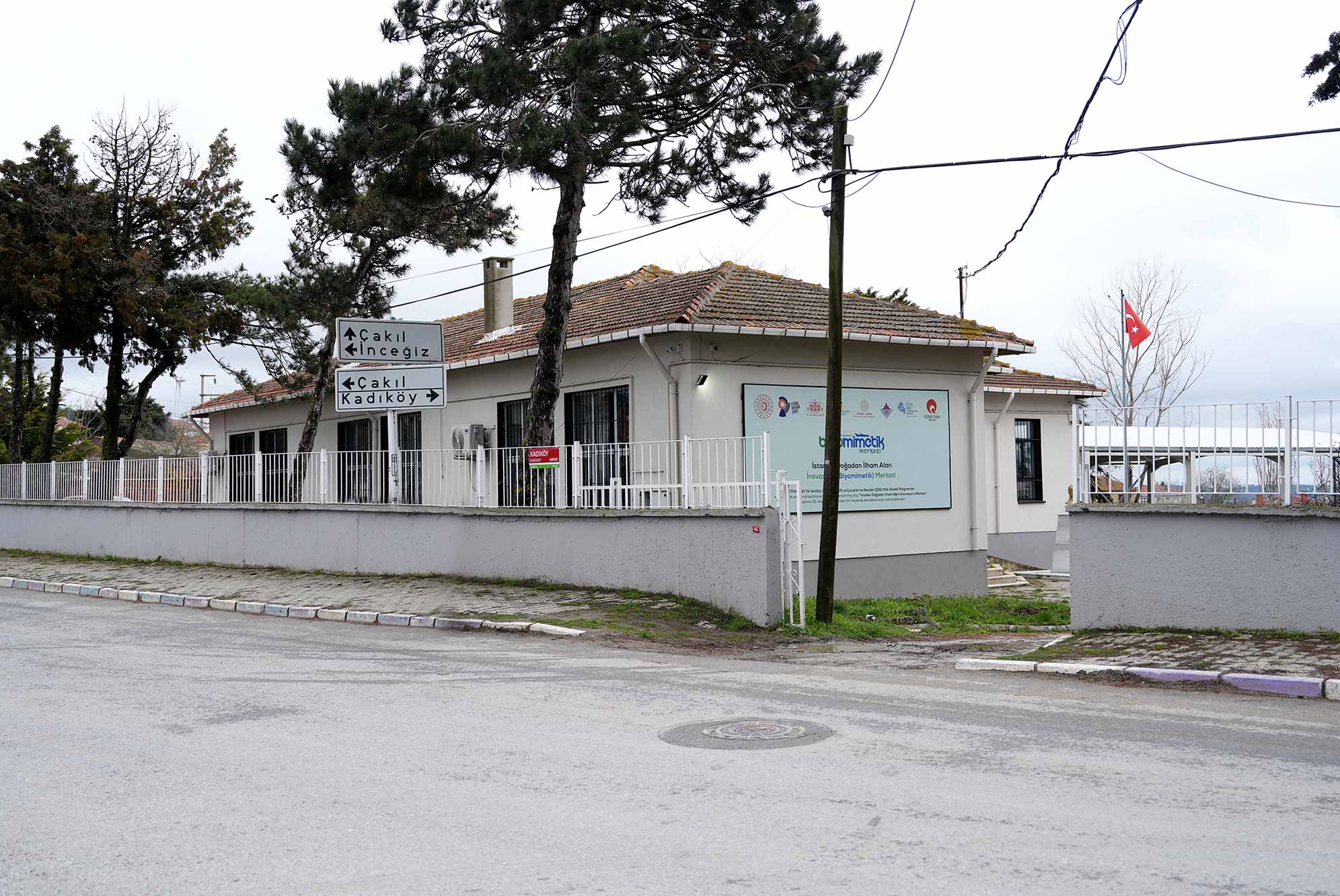 4-dogadan-ilham-alma-after-biyomimetik